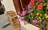 Туры в отель San Giovanni hotel Livigno