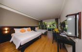 Туры в отель Sand Sea Resort