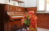 Туры в отель Albergo Athena
