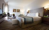Туры в отель Copthorne Downtown Abu Dhabi