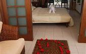 Туры в отель Sanya David Legendary Love Resort