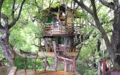 Туры в отель Sanya Nanshan Treehouse Resort and Beach Club