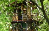 Туры в отель Sanya Nanshan Treehouse Resort and Beach Club