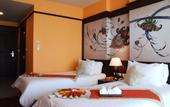Туры в отель Sarita Chalet & Spa Hotel
