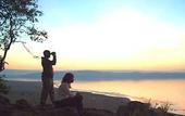 Туры в отель Sarova Lion Hill Game Lodge