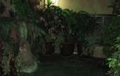 Туры в отель Sato