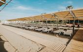 Туры в отель Saturn Palace Resort