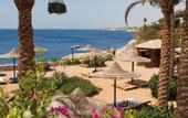Туры в отель Siva Sharm Resort & Spa