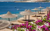 Туры в отель Siva Sharm Resort & Spa
