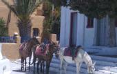 Туры в отель Athina Luxury Suites