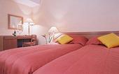 Туры в отель Ibis Styles Geneve Gare