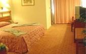 Туры в отель SC Park Hotel