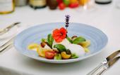 Туры в отель Falkensteiner Schlosshotel Velden