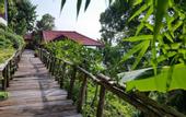 Туры в отель Sea Breeze Resort