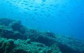 Туры в отель Sea Club Conca Azzurra