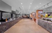 Туры в отель Seagull Beach Resort