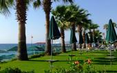 Туры в отель Seagull Hotel