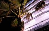 Туры в отель Sea Lion Hotel