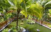 Туры в отель Dessole Beach Resort Mui Ne