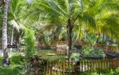 Туры в отель Dessole Beach Resort Mui Ne