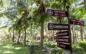 Туры в отель Dessole Beach Resort Mui Ne