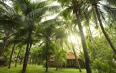 Туры в отель Dessole Beach Resort Mui Ne