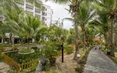 Туры в отель Dessole Beach Resort Mui Ne