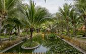 Туры в отель Dessole Beach Resort Mui Ne