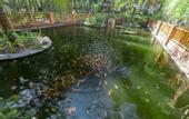 Туры в отель Dessole Beach Resort Mui Ne