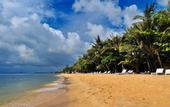 Туры в отель Sea Star Resort
