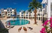 Туры в отель Seahorse Deluxe Hotel