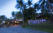 Туры в отель Seahorse Resort & Spa