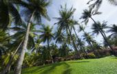 Туры в отель Seahorse Resort & Spa