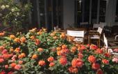 Туры в отель Seapark Resort