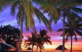Туры в отель Seashell Cove Resort