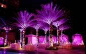 Туры в отель Acqualina Resort & Spa