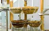 Туры в отель Seehotel Hafnersee