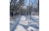 Туры в отель Seehotel Schlick