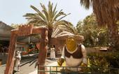 Туры в отель Seher Resort & Spa