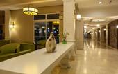 Туры в отель Seher Resort & Spa