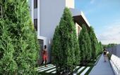 Туры в отель Seher Sun Beach