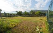 Туры в отель Miramor Garden Resort