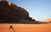 Туры в отель Sella