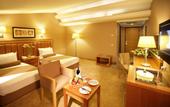Туры в отель Holiday Inn Istanbul - Old City