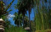 Туры в отель Kila Senggigi Beach Hotel