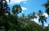 Туры в отель Kila Senggigi Beach Hotel