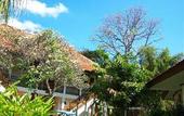Туры в отель Kila Senggigi Beach Hotel