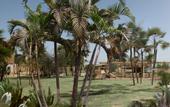 Туры в отель Balmy Beach Resort Kemer
