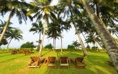 Туры в отель Thaala Bentota Resort & Spa