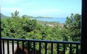 Туры в отель Searine Samui Boutique Resort
